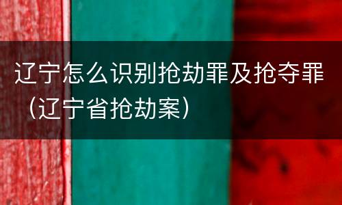 辽宁怎么识别抢劫罪及抢夺罪（辽宁省抢劫案）