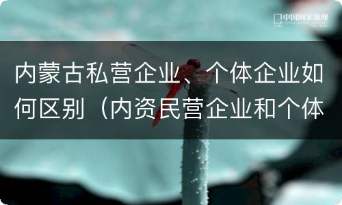 内蒙古私营企业、个体企业如何区别（内资民营企业和个体户）