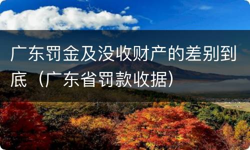 广东罚金及没收财产的差别到底（广东省罚款收据）