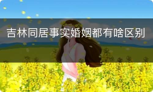 吉林同居事实婚姻都有啥区别