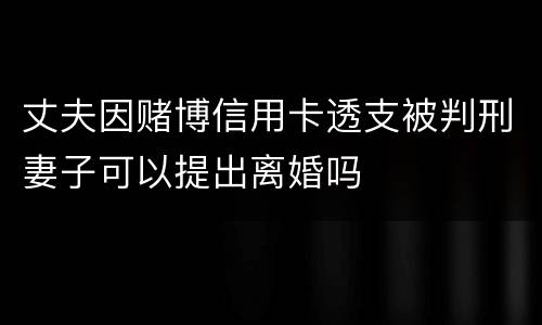 丈夫因赌博信用卡透支被判刑妻子可以提出离婚吗