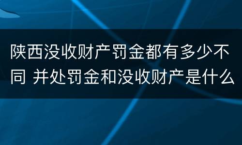 陕西没收财产罚金都有多少不同 并处罚金和没收财产是什么意思