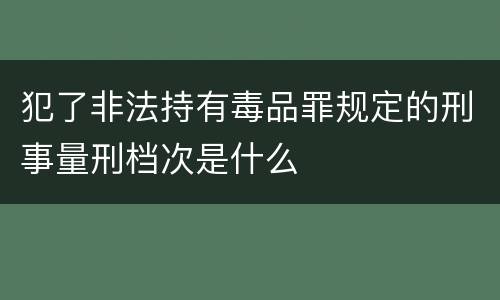 犯了非法持有毒品罪规定的刑事量刑档次是什么