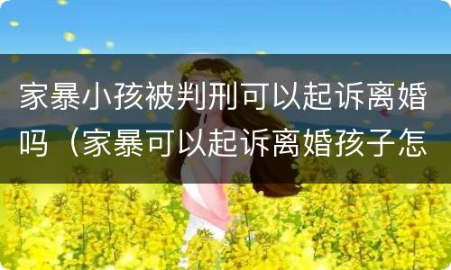 家暴小孩被判刑可以起诉离婚吗（家暴可以起诉离婚孩子怎么判）