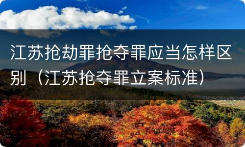 江苏抢劫罪抢夺罪应当怎样区别（江苏抢夺罪立案标准）