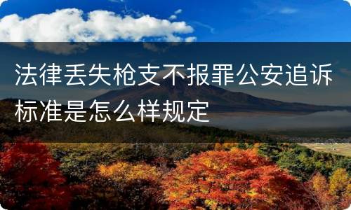 法律丢失枪支不报罪公安追诉标准是怎么样规定