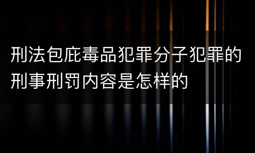 刑法包庇毒品犯罪分子犯罪的刑事刑罚内容是怎样的