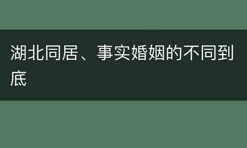 湖北同居、事实婚姻的不同到底