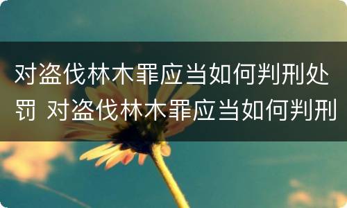 对盗伐林木罪应当如何判刑处罚 对盗伐林木罪应当如何判刑处罚决定