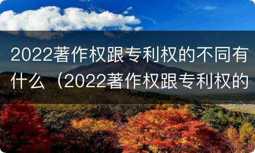 2022著作权跟专利权的不同有什么（2022著作权跟专利权的不同有什么意义）