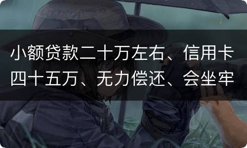 小额贷款二十万左右、信用卡四十五万、无力偿还、会坐牢