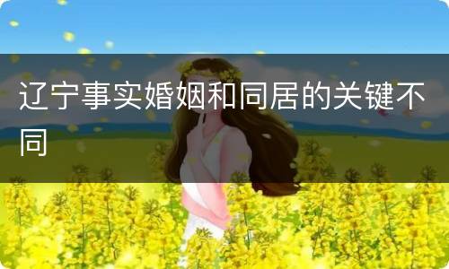 辽宁事实婚姻和同居的关键不同