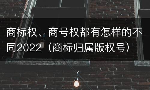 商标权、商号权都有怎样的不同2022（商标归属版权号）