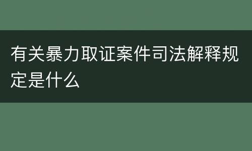 有关暴力取证案件司法解释规定是什么