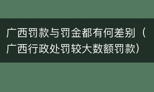 广西罚款与罚金都有何差别（广西行政处罚较大数额罚款）