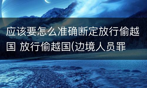 应该要怎么准确断定放行偷越国 放行偷越国(边境人员罪