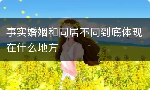 事实婚姻和同居不同到底体现在什么地方