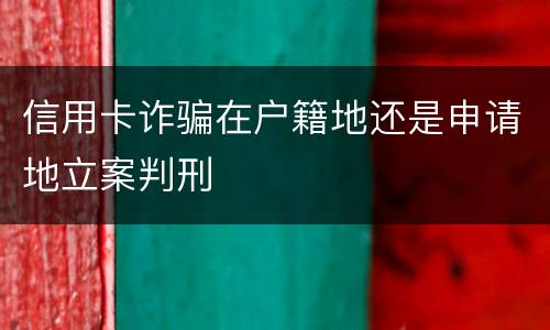 信用卡诈骗在户籍地还是申请地立案判刑