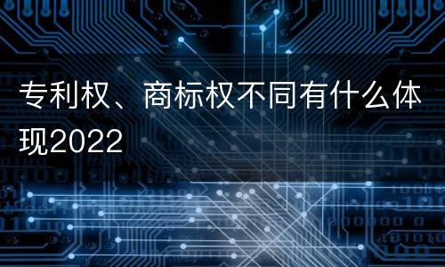 专利权、商标权不同有什么体现2022