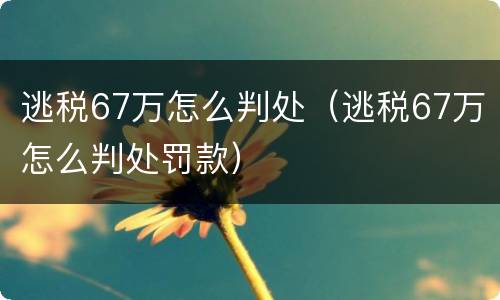 逃税67万怎么判处（逃税67万怎么判处罚款）