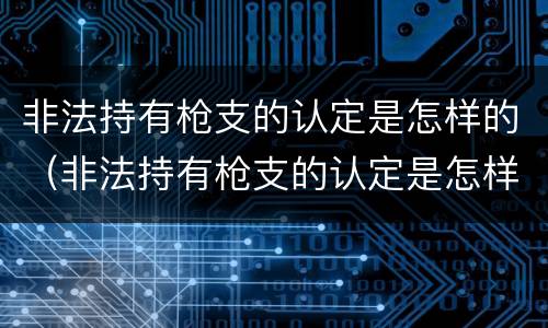 非法持有枪支的认定是怎样的（非法持有枪支的认定是怎样的处罚）