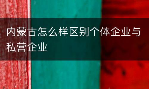 内蒙古怎么样区别个体企业与私营企业