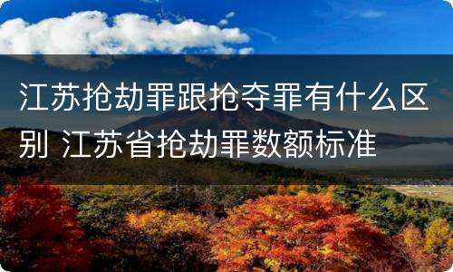 江苏抢劫罪跟抢夺罪有什么区别 江苏省抢劫罪数额标准