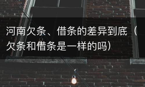 河南欠条、借条的差异到底（欠条和借条是一样的吗）