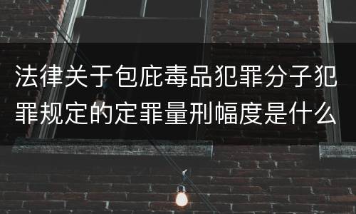 法律关于包庇毒品犯罪分子犯罪规定的定罪量刑幅度是什么