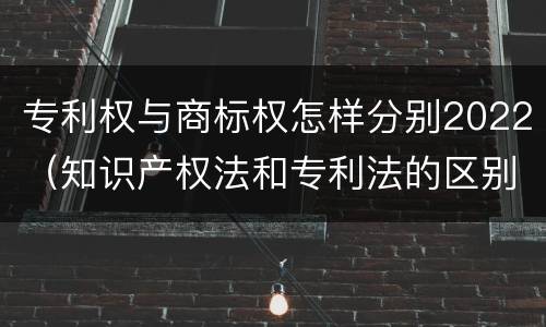 专利权与商标权怎样分别2022（知识产权法和专利法的区别）