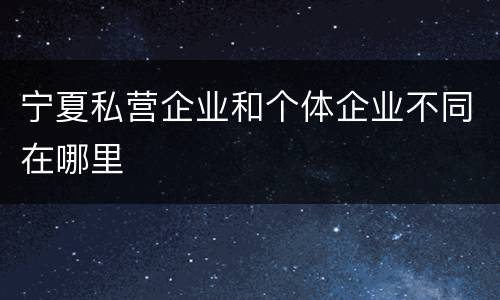 宁夏私营企业和个体企业不同在哪里