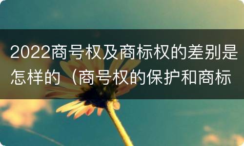 2022商号权及商标权的差别是怎样的（商号权的保护和商标权的保护一样是全国性范围的）