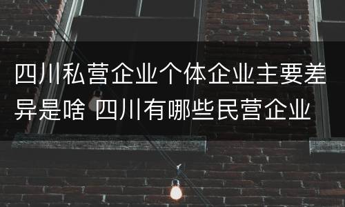 四川私营企业个体企业主要差异是啥 四川有哪些民营企业