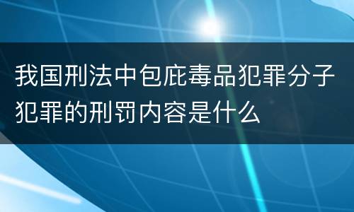 我国刑法中包庇毒品犯罪分子犯罪的刑罚内容是什么