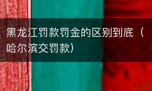 黑龙江罚款罚金的区别到底（哈尔滨交罚款）