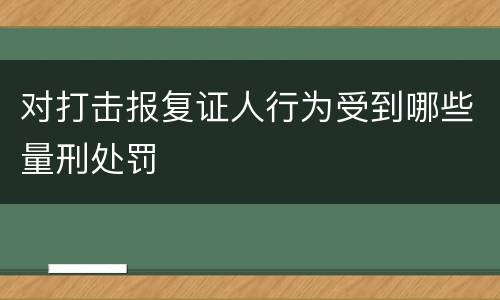 对打击报复证人行为受到哪些量刑处罚