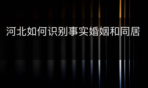 河北如何识别事实婚姻和同居