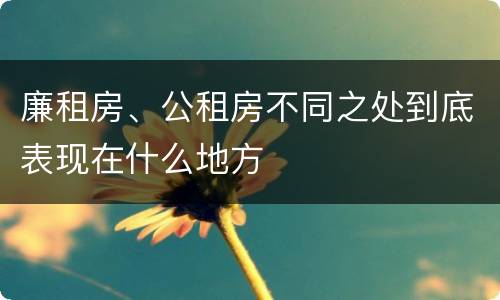 廉租房、公租房不同之处到底表现在什么地方