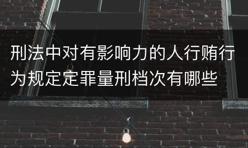 刑法中对有影响力的人行贿行为规定定罪量刑档次有哪些