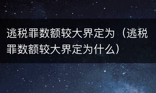 逃税罪数额较大界定为（逃税罪数额较大界定为什么）