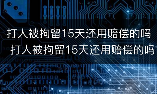 打人被拘留15天还用赔偿的吗 打人被拘留15天还用赔偿的吗为什么