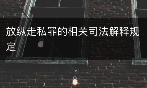 放纵走私罪的相关司法解释规定