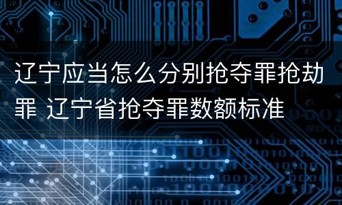 辽宁应当怎么分别抢夺罪抢劫罪 辽宁省抢夺罪数额标准