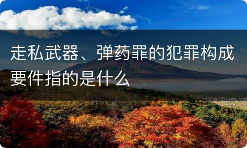 走私武器、弹药罪的犯罪构成要件指的是什么