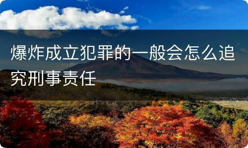 爆炸成立犯罪的一般会怎么追究刑事责任