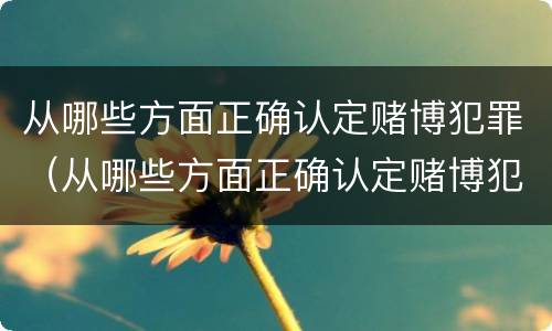 从哪些方面正确认定赌博犯罪（从哪些方面正确认定赌博犯罪行为）