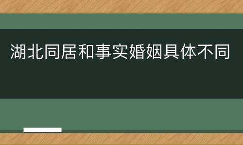 湖北同居和事实婚姻具体不同