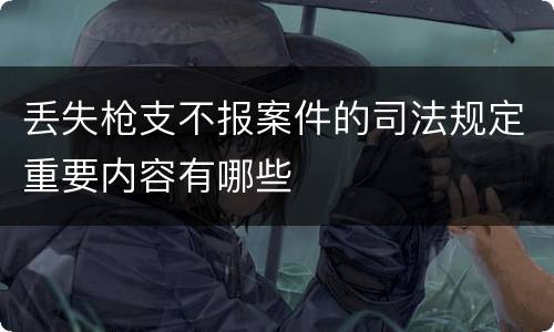 丢失枪支不报案件的司法规定重要内容有哪些