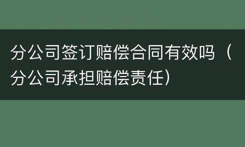 分公司签订赔偿合同有效吗（分公司承担赔偿责任）