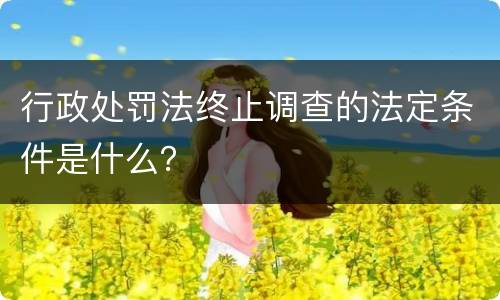 行政处罚法终止调查的法定条件是什么？